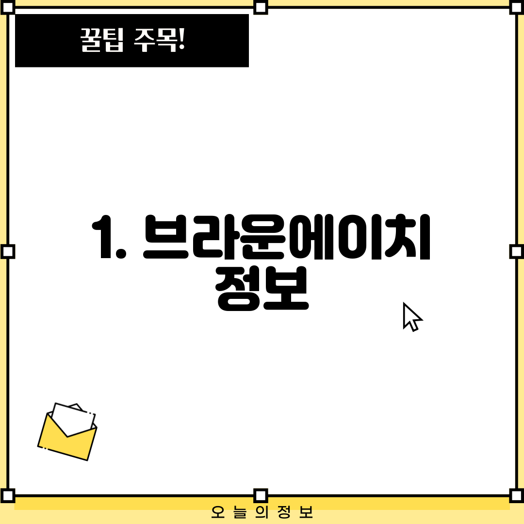 1. 브라운에이치 정보