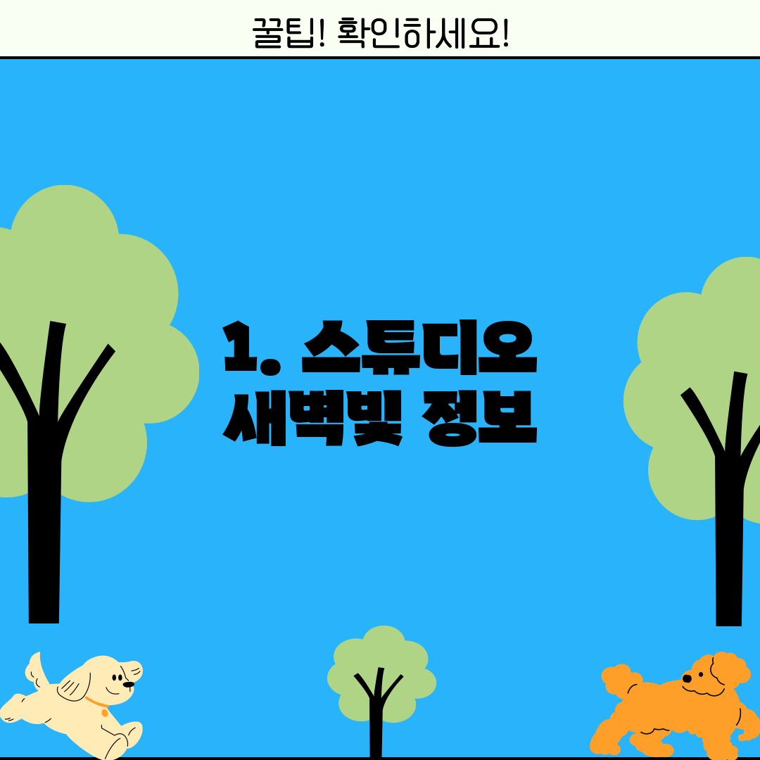 1. 스튜디오 새벽빛 정보