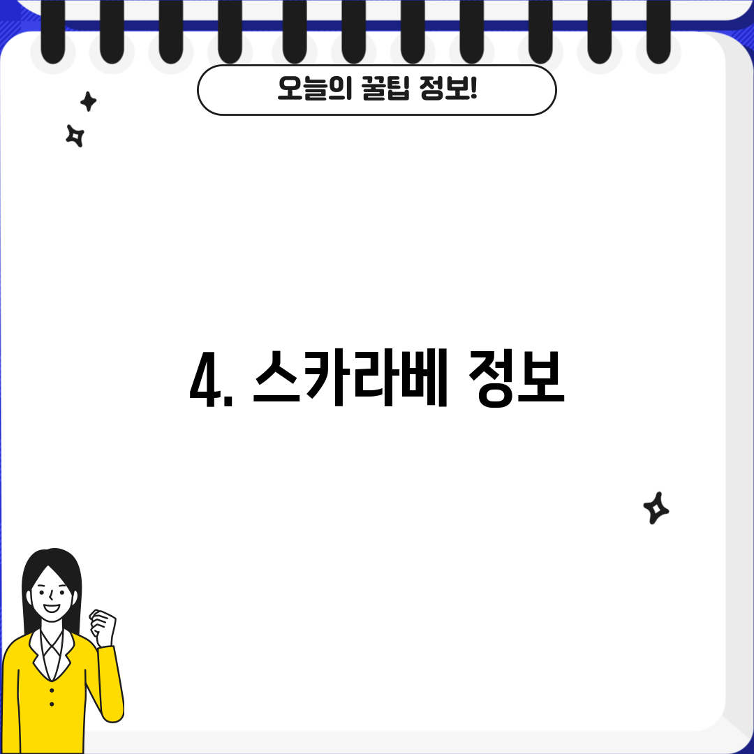 4. 스카라베 정보