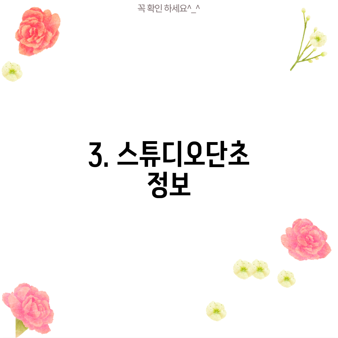 3. 스튜디오단초 정보