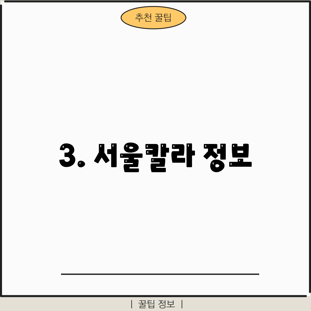 3. 서울칼라 정보