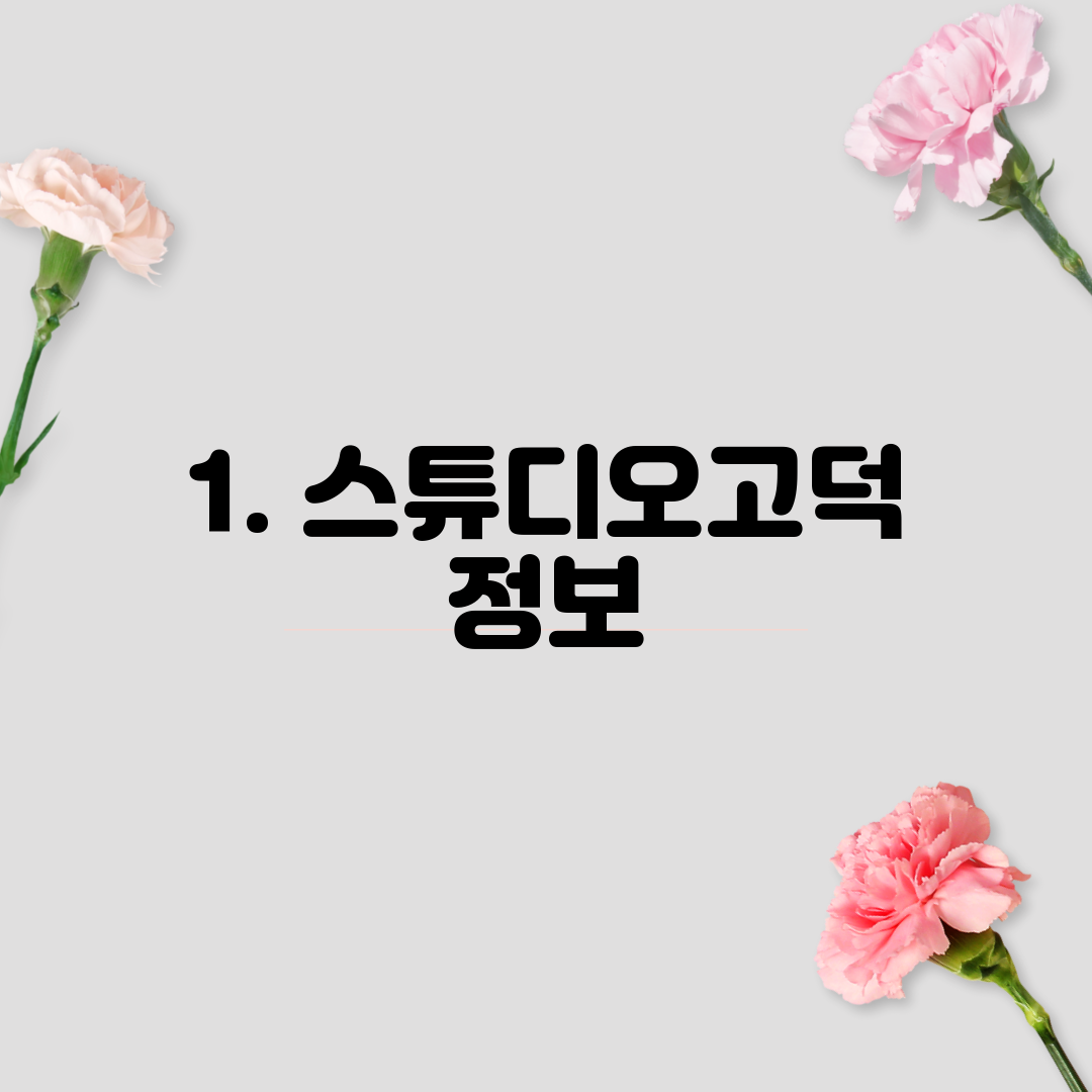 1. 스튜디오고덕 정보