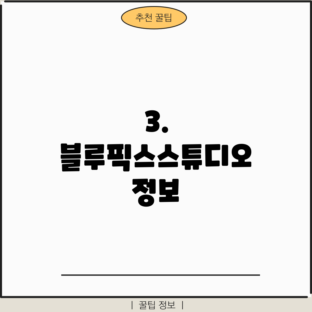 3. 블루픽스스튜디오 정보
