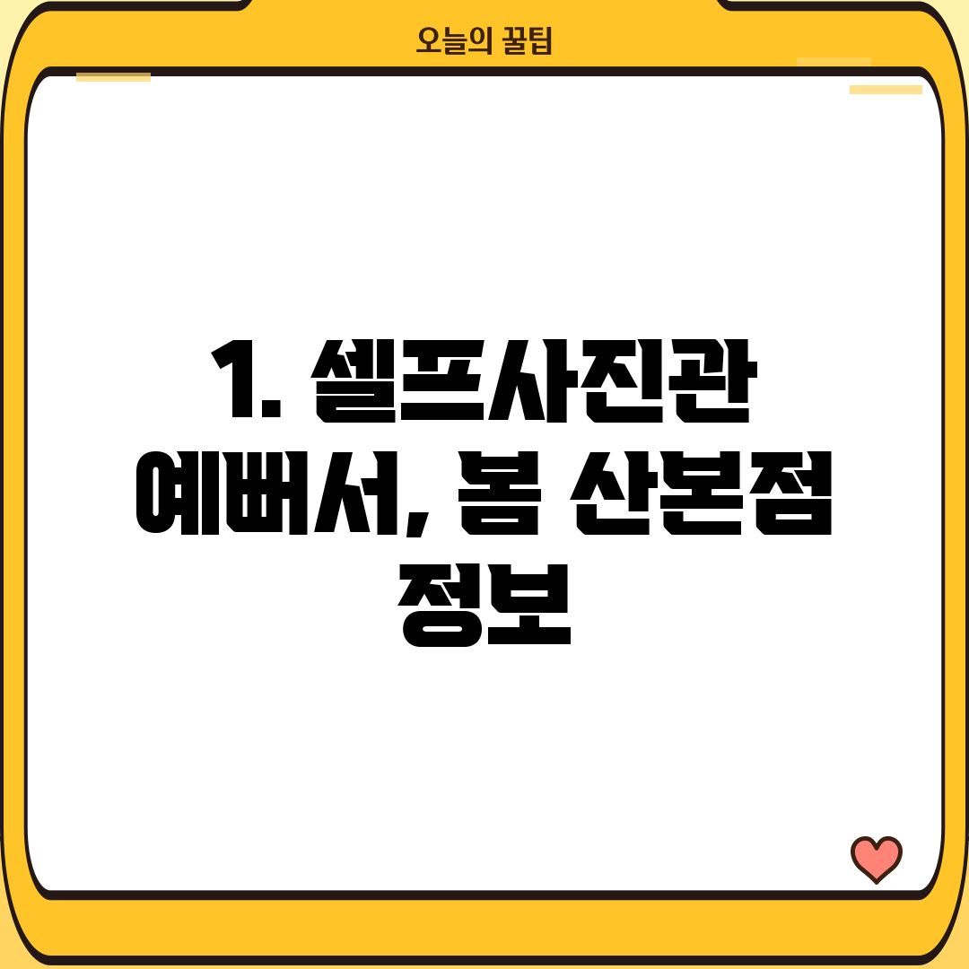 1. 셀프사진관 예뻐서, 봄 산본점 정보
