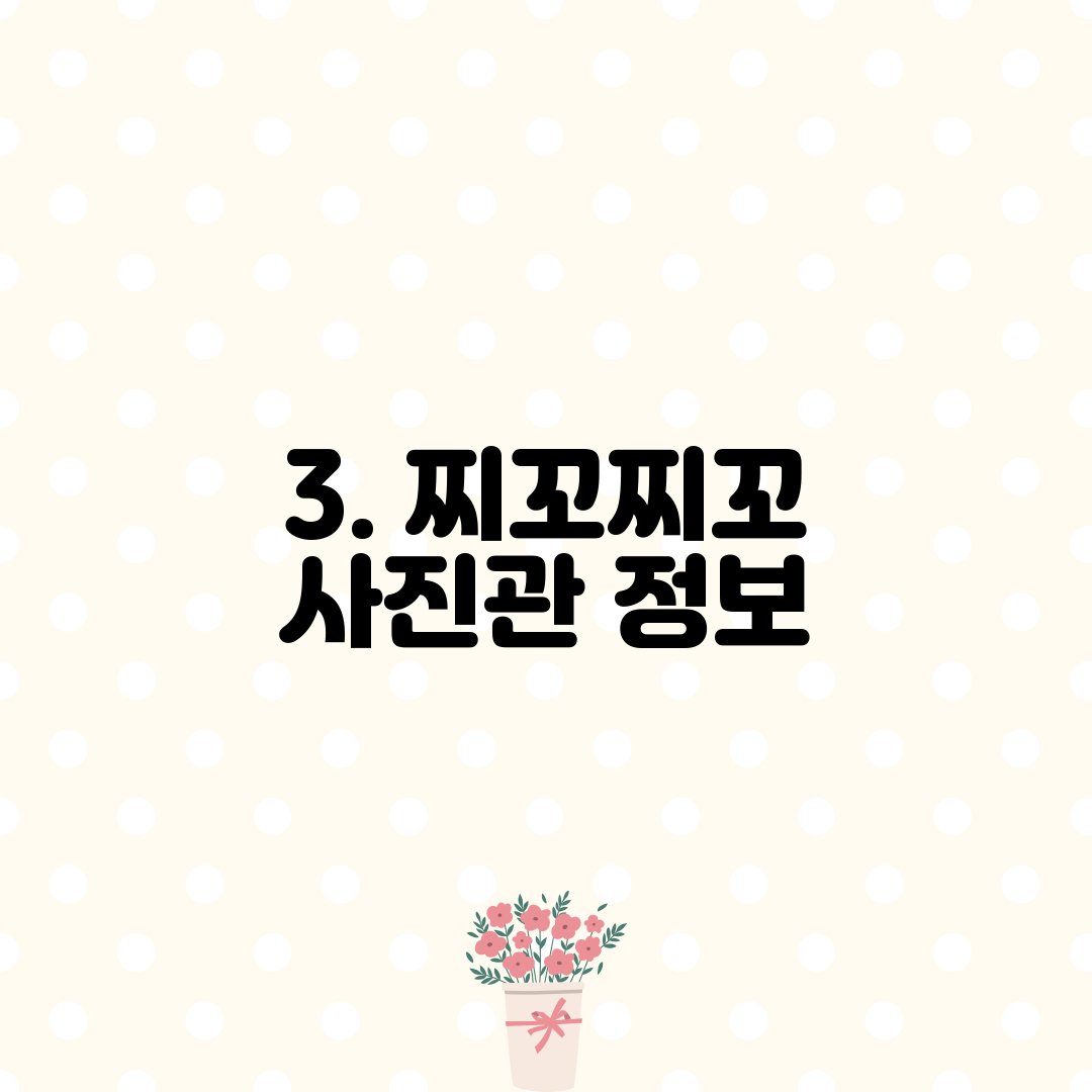 3. 찌꼬찌꼬 사진관 정보