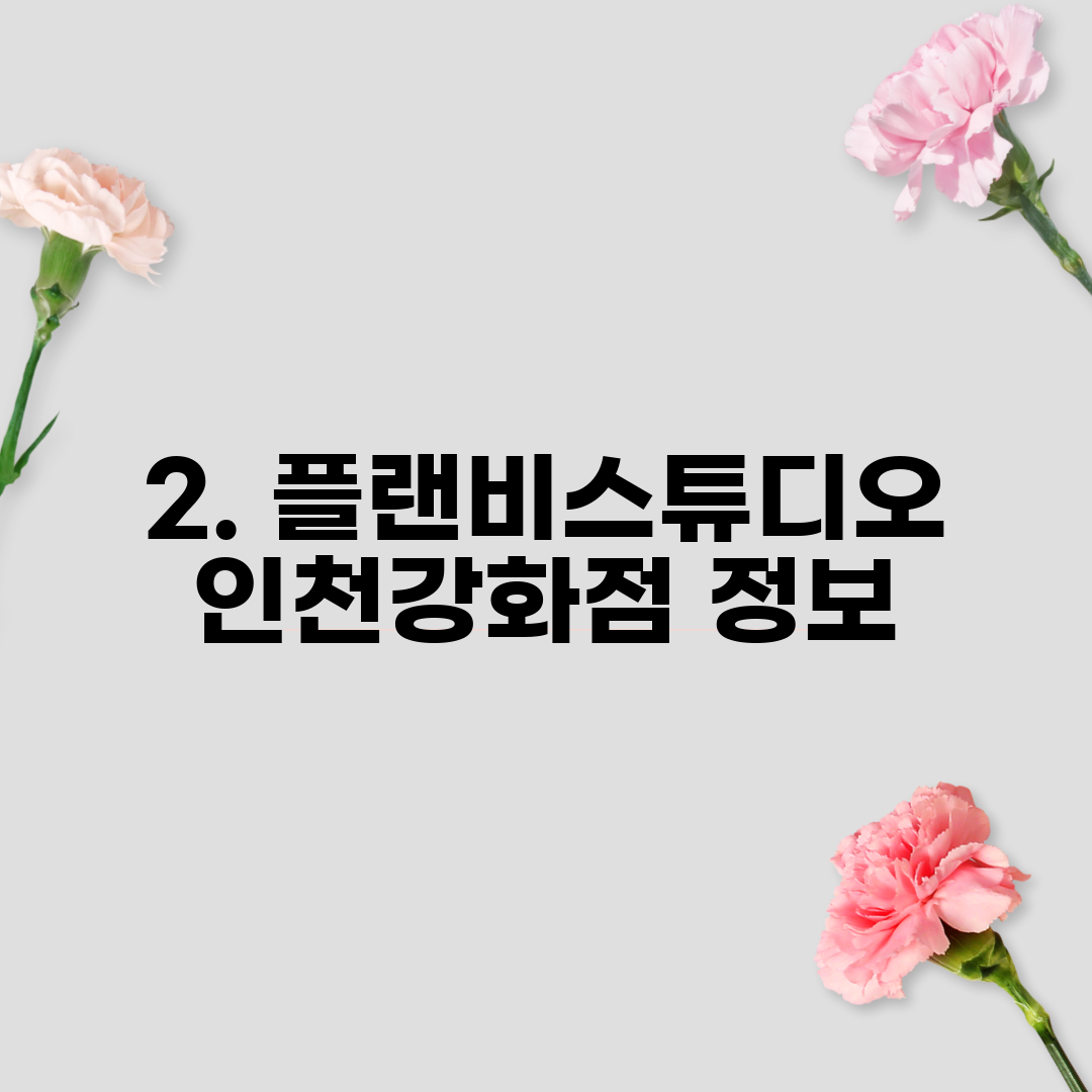 2. 플랜비스튜디오 인천강화점 정보