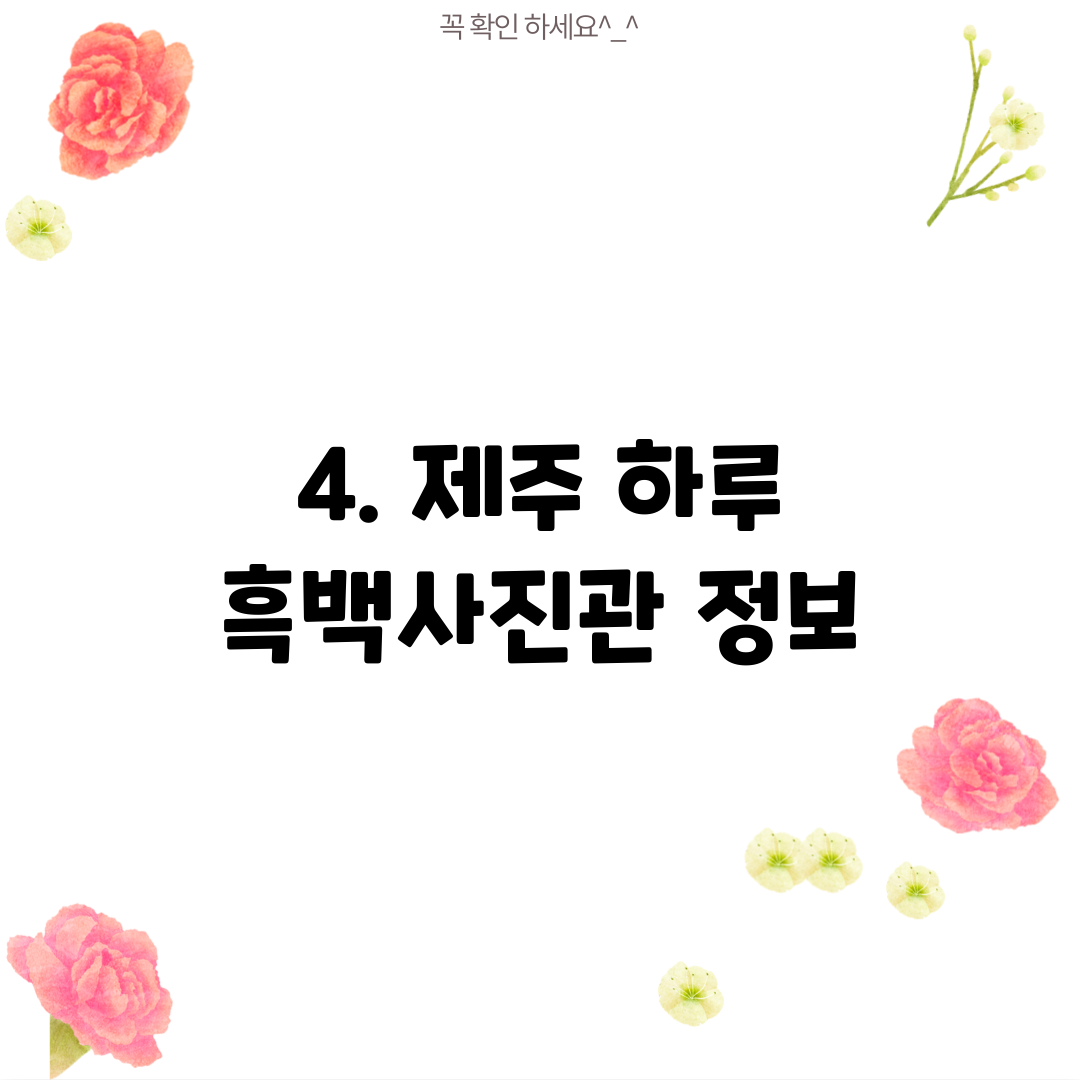 4. 제주 하루 흑백사진관 정보