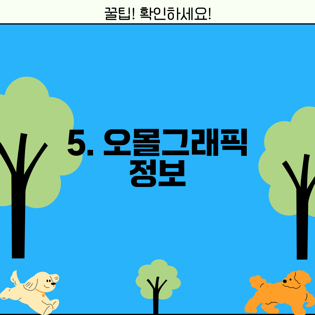 5. 오몰그래픽 정보