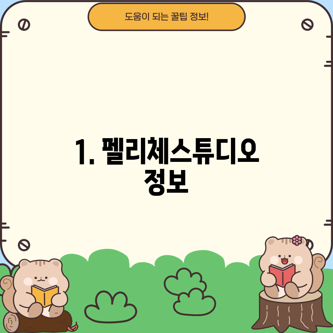 1. 펠리체스튜디오 정보