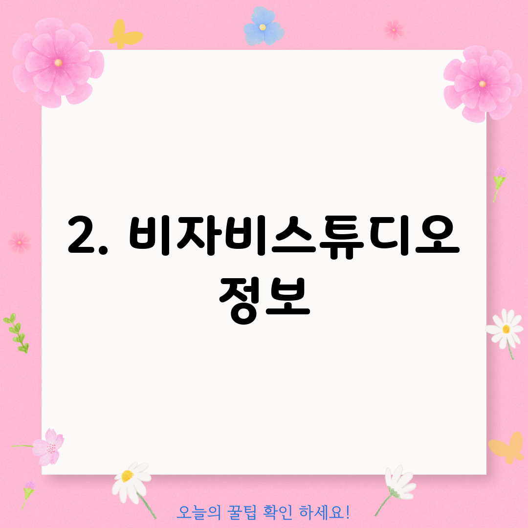 2. 비자비스튜디오 정보