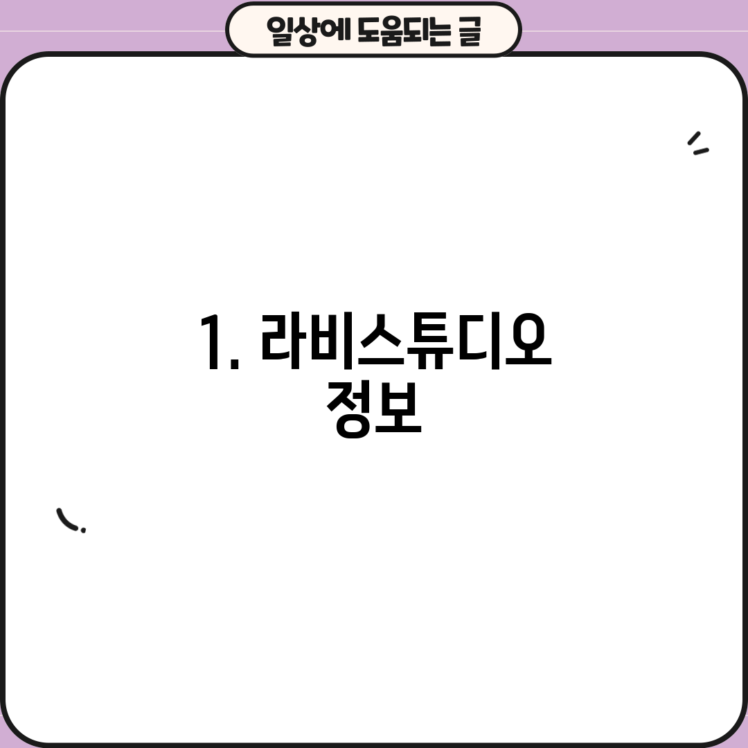 1. 라비스튜디오 정보
