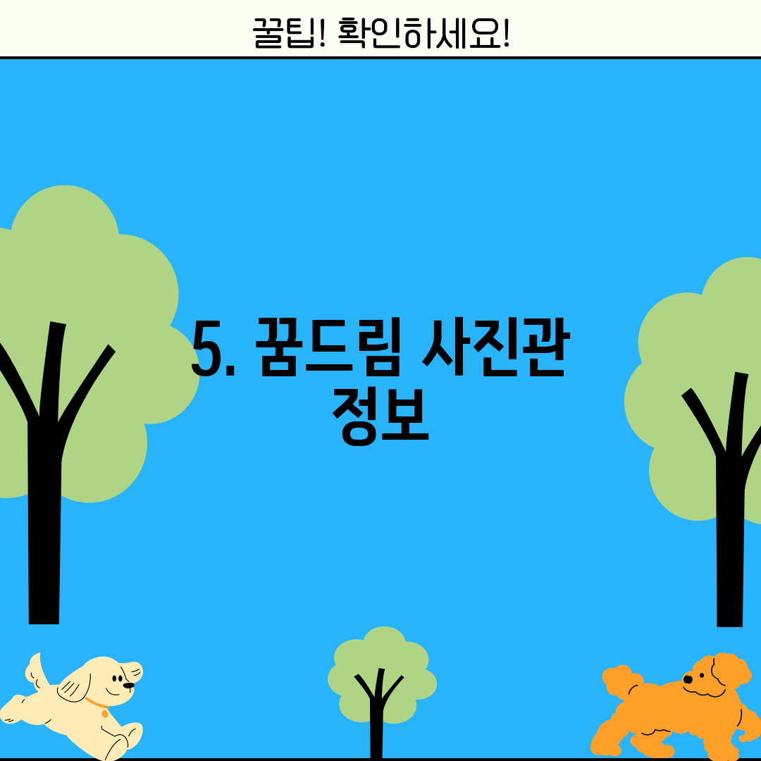 5. 꿈드림 사진관 정보