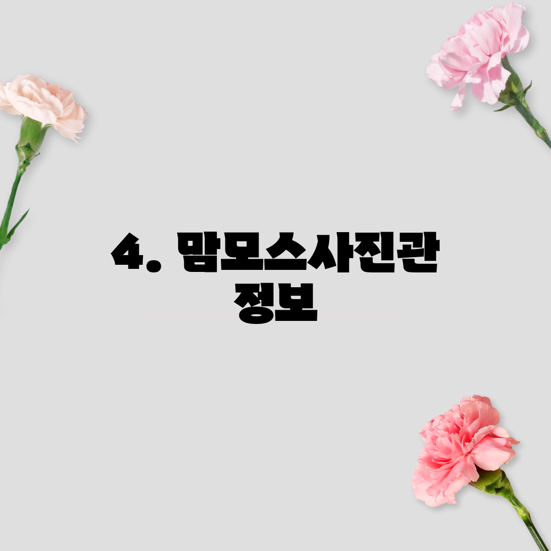 4. 맘모스사진관 정보