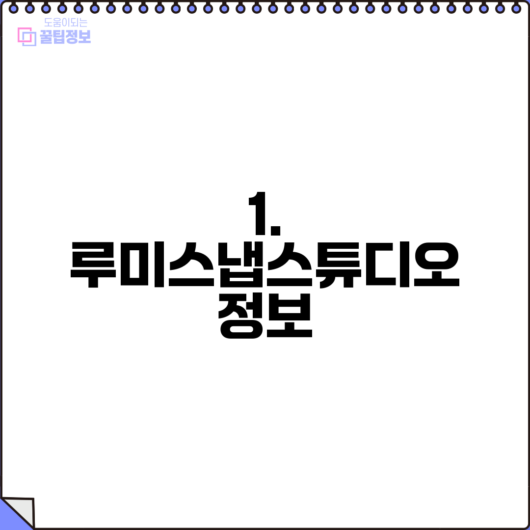 1. 루미스냅스튜디오 정보