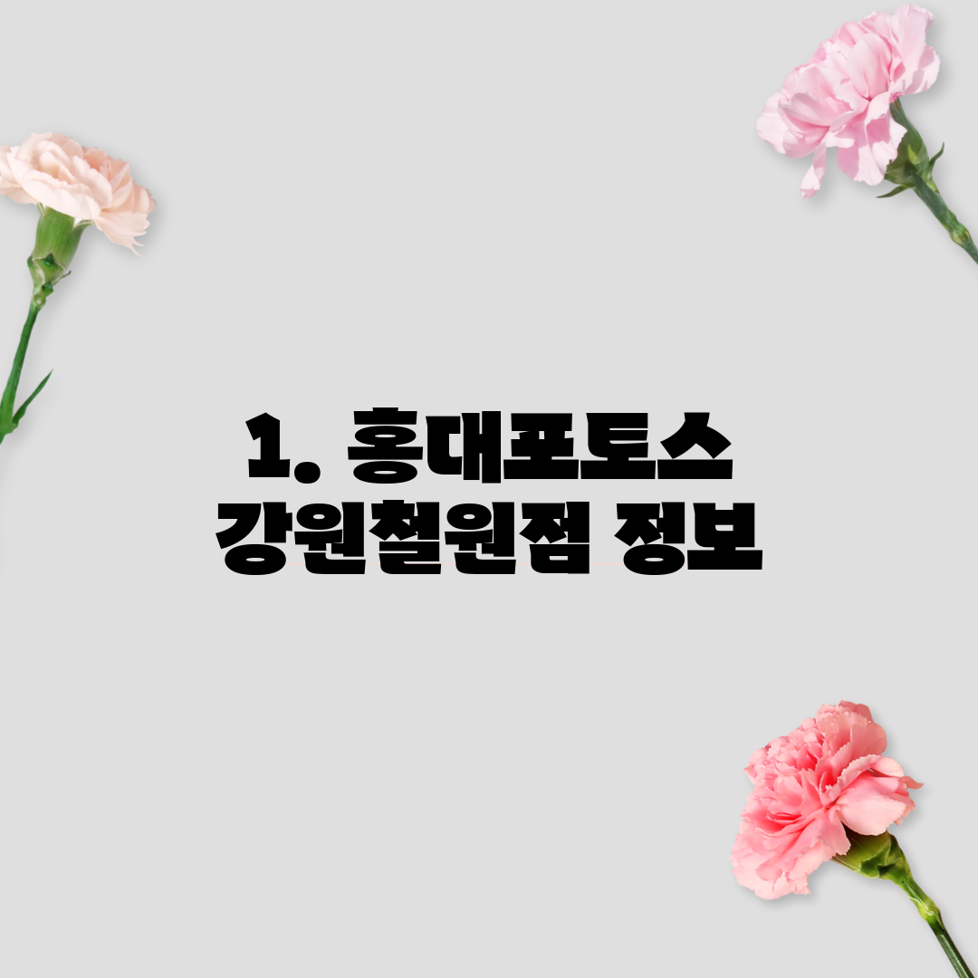 1. 홍대포토스 강원철원점 정보