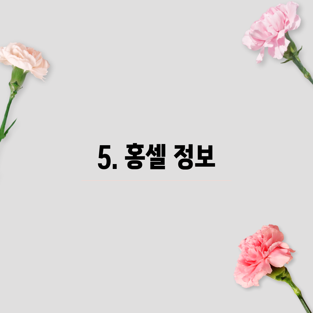 5. 홍셀 정보