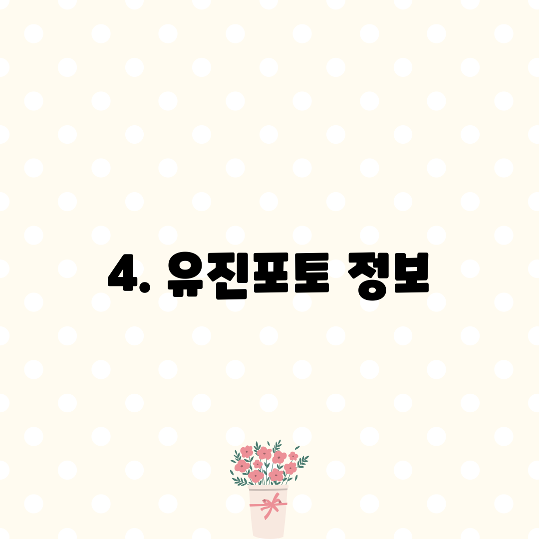 4. 유진포토 정보