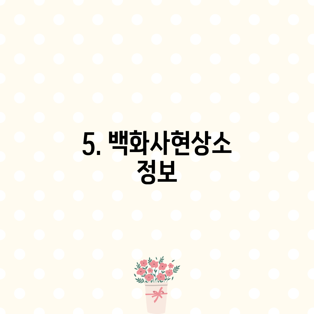 5. 백화사현상소 정보