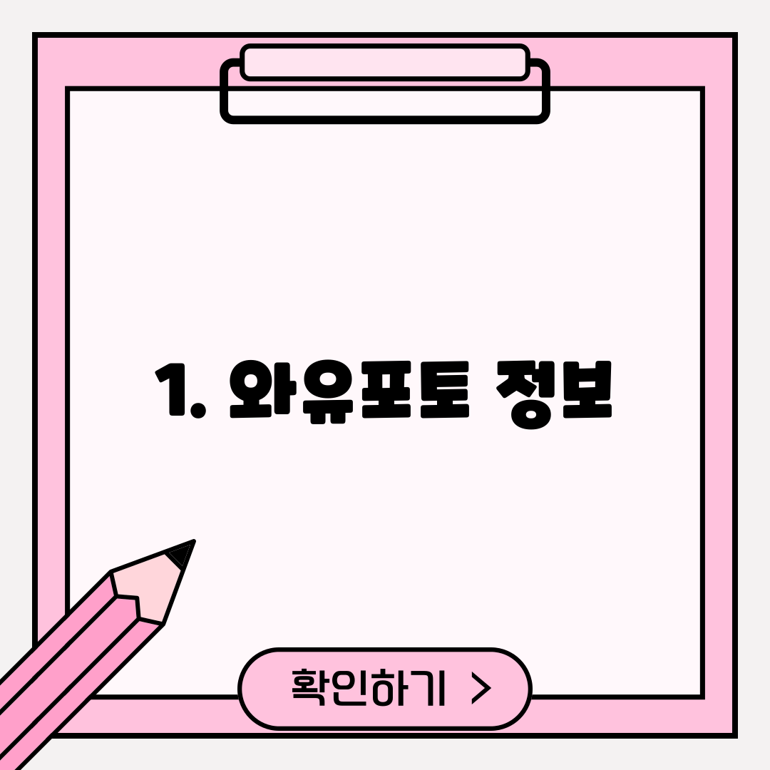 1. 와유포토 정보
