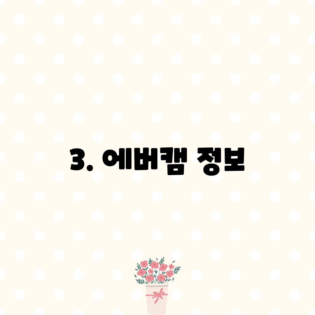 3. 에버캠 정보