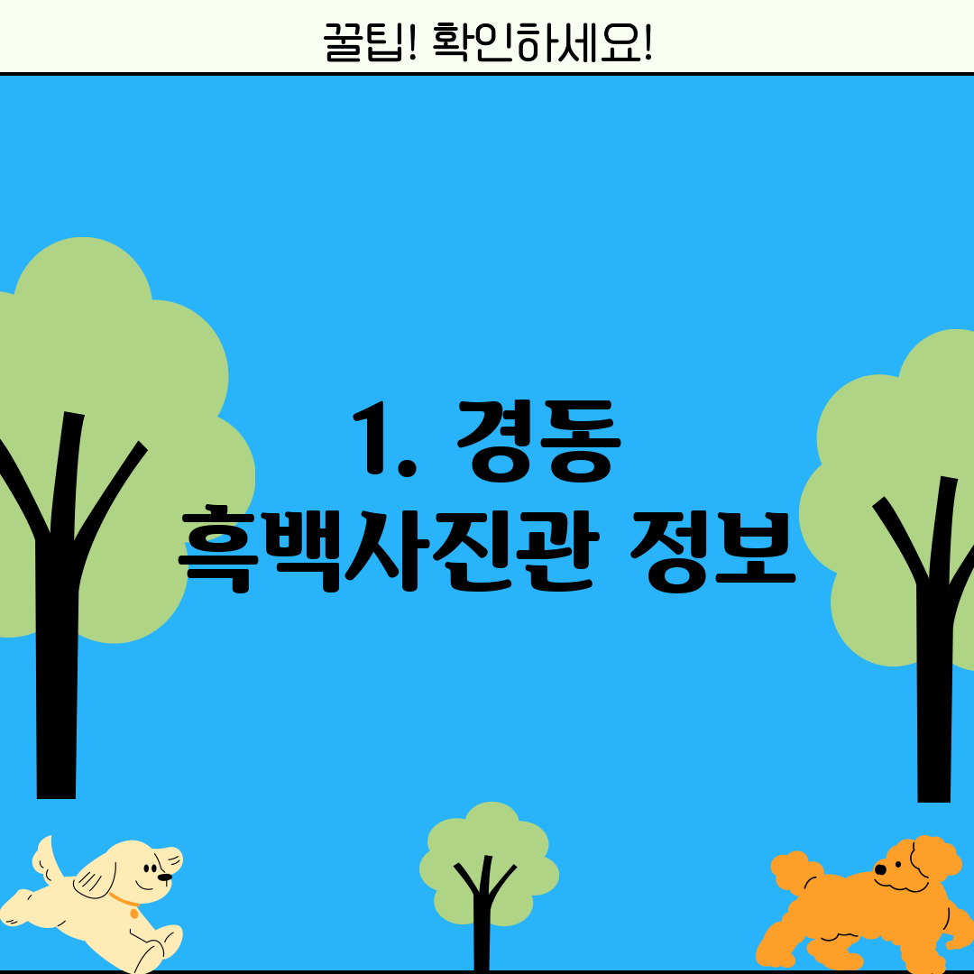 1. 경동 흑백사진관 정보