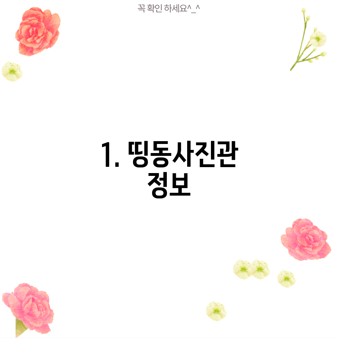 1. 띵동사진관 정보