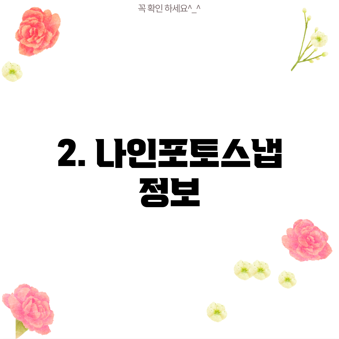 2. 나인포토스냅 정보