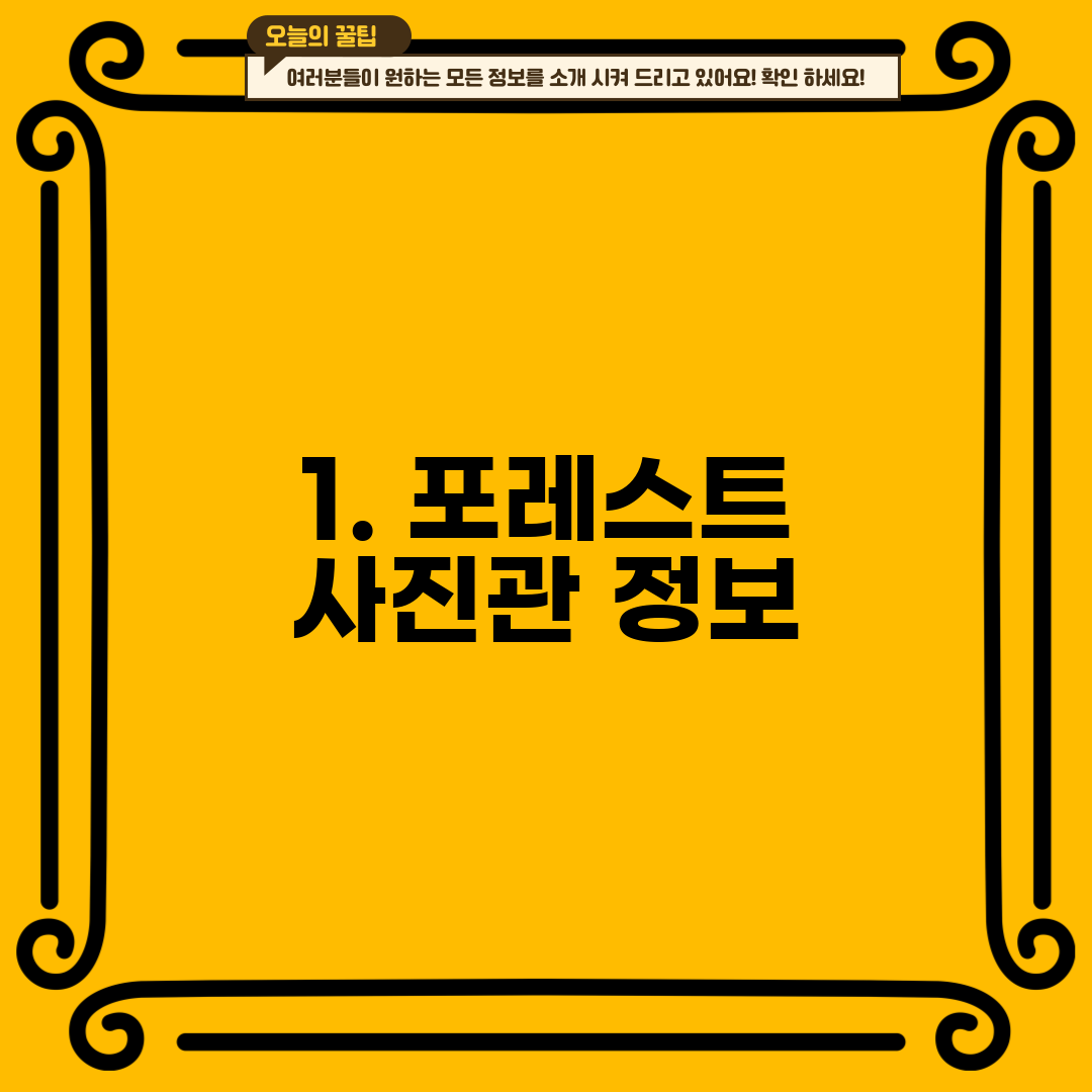 1. 포레스트 사진관 정보