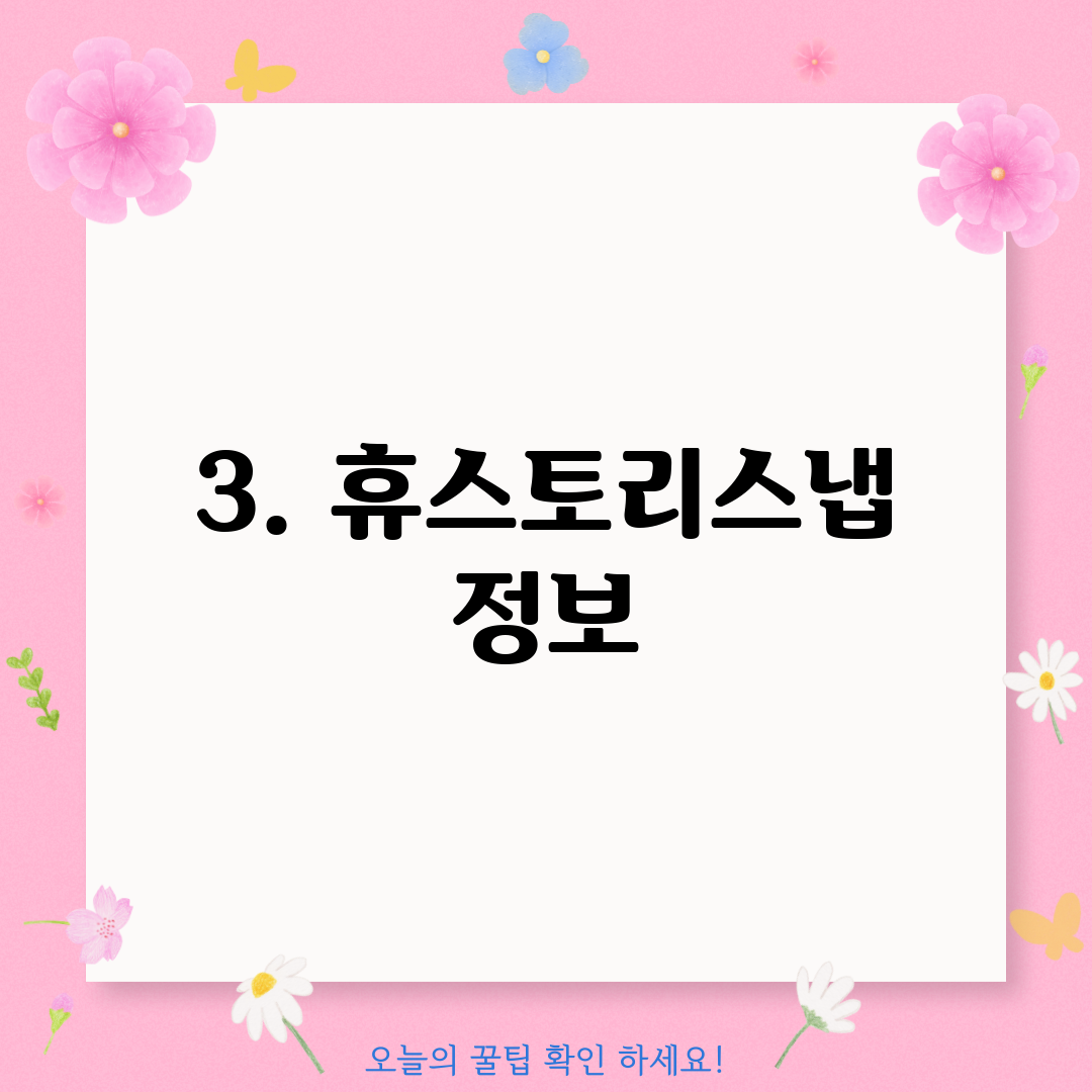 3. 휴스토리스냅 정보