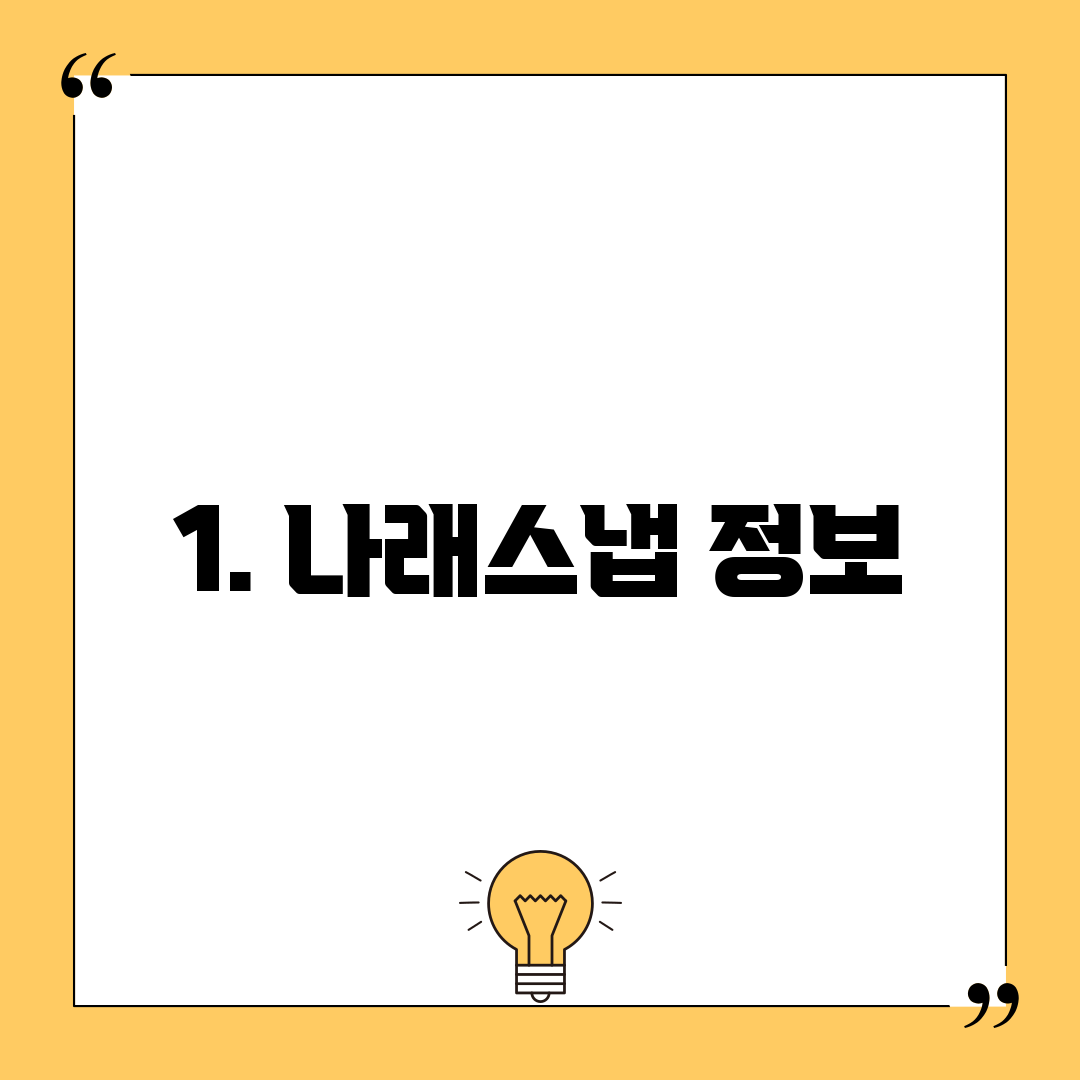 1. 나래스냅 정보