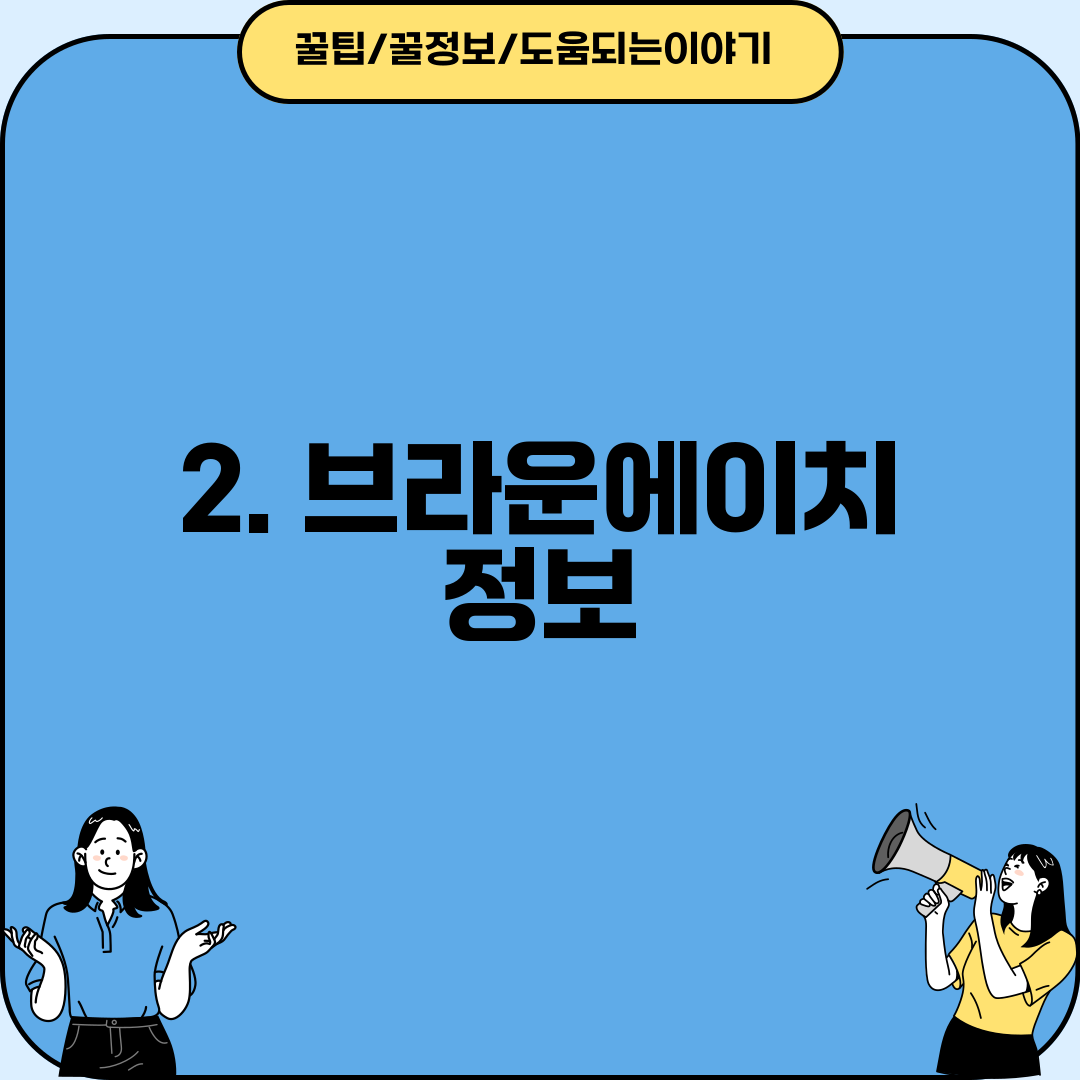 2. 브라운에이치 정보