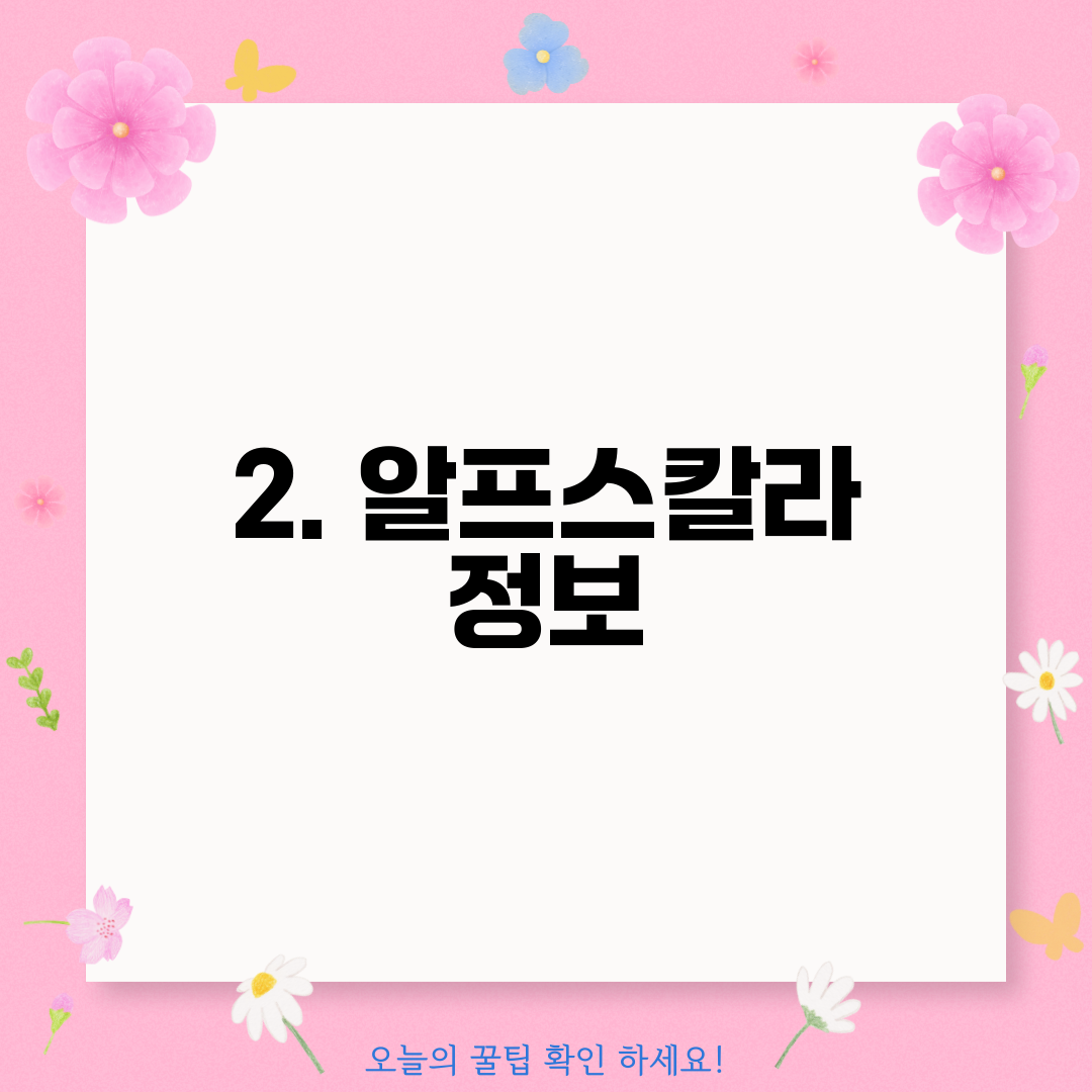 2. 알프스칼라 정보