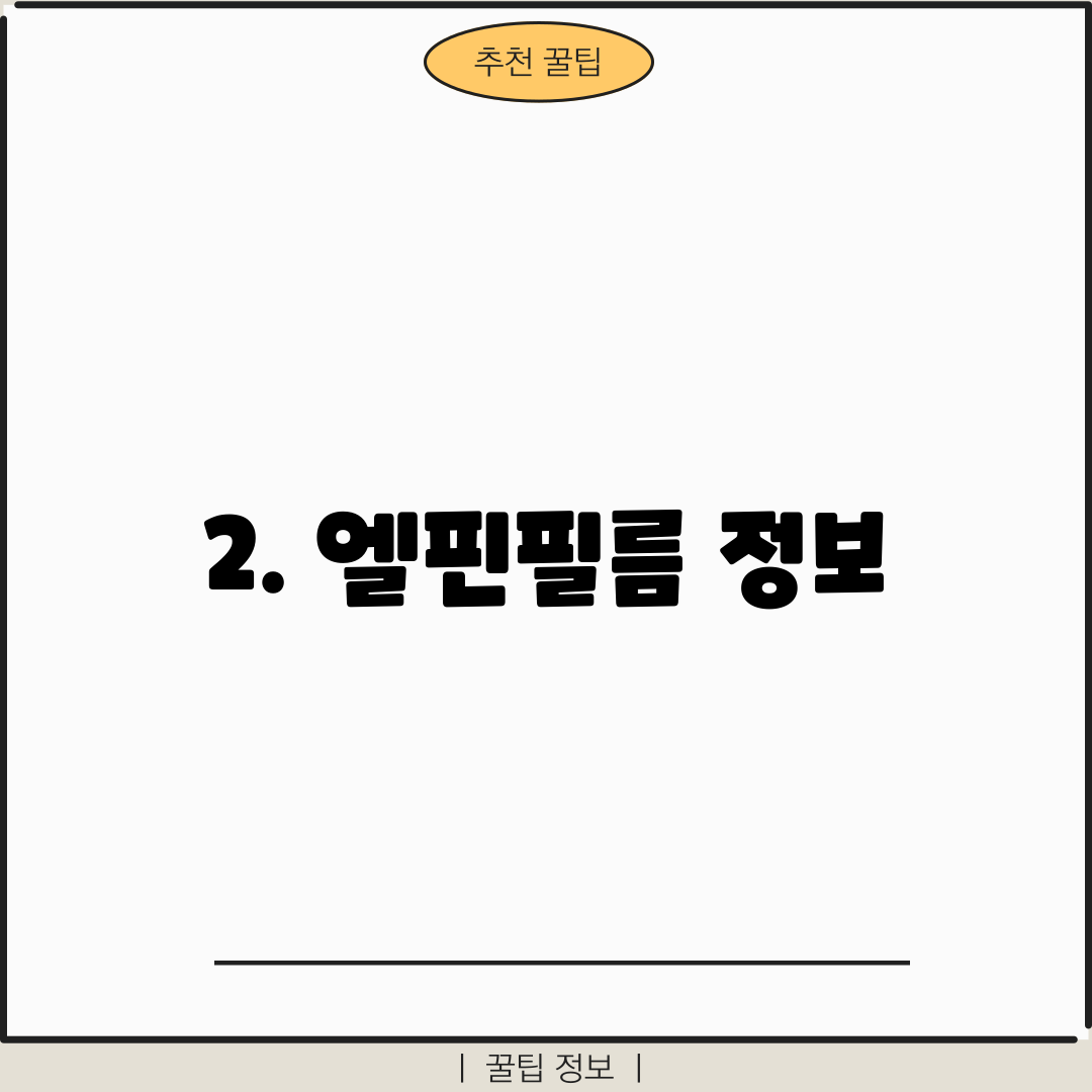 2. 엘핀필름 정보