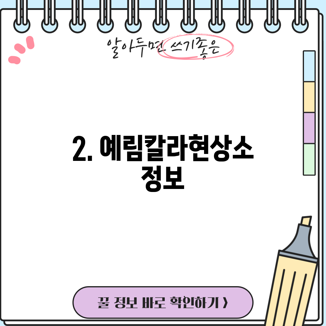 2. 예림칼라현상소 정보