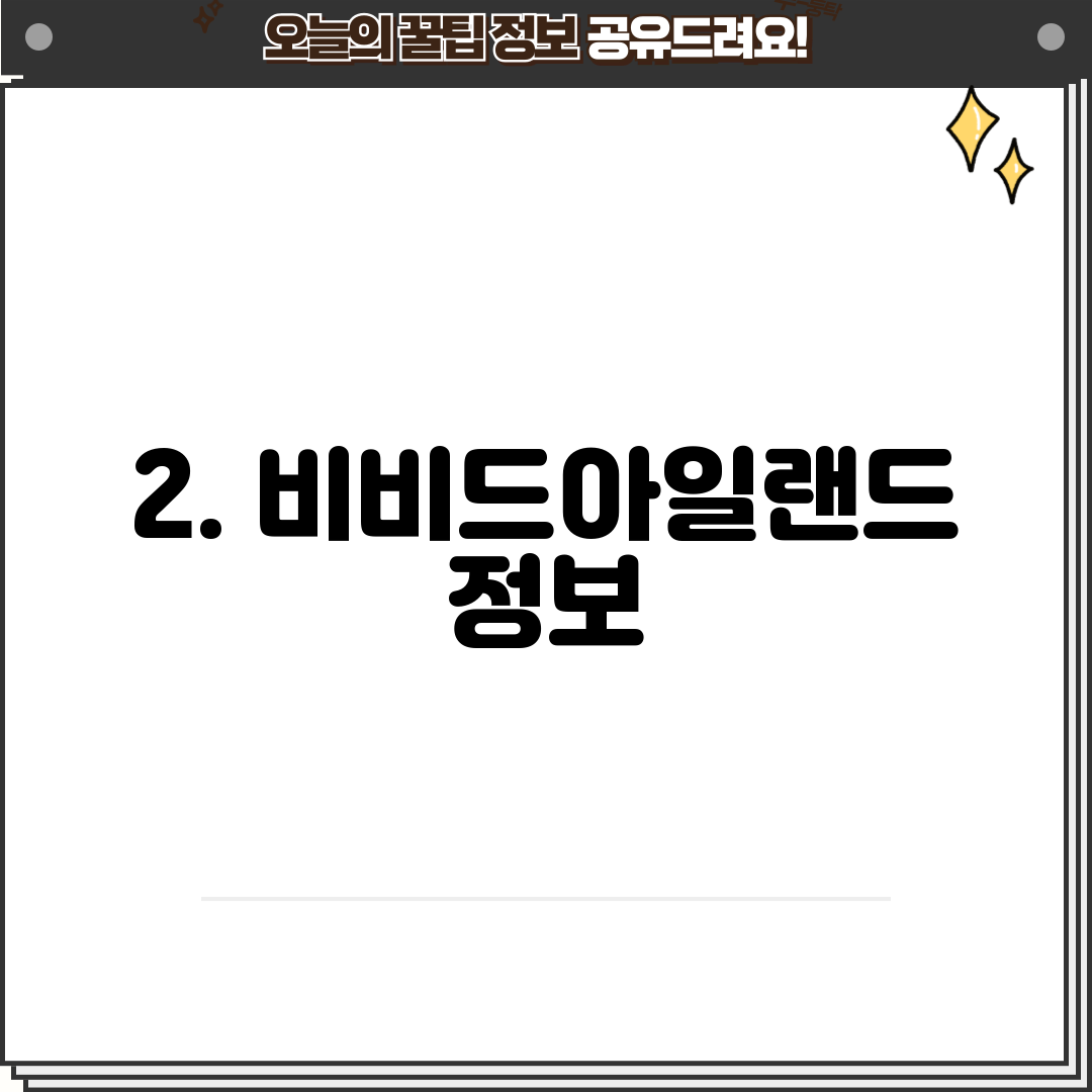 2. 비비드아일랜드 정보