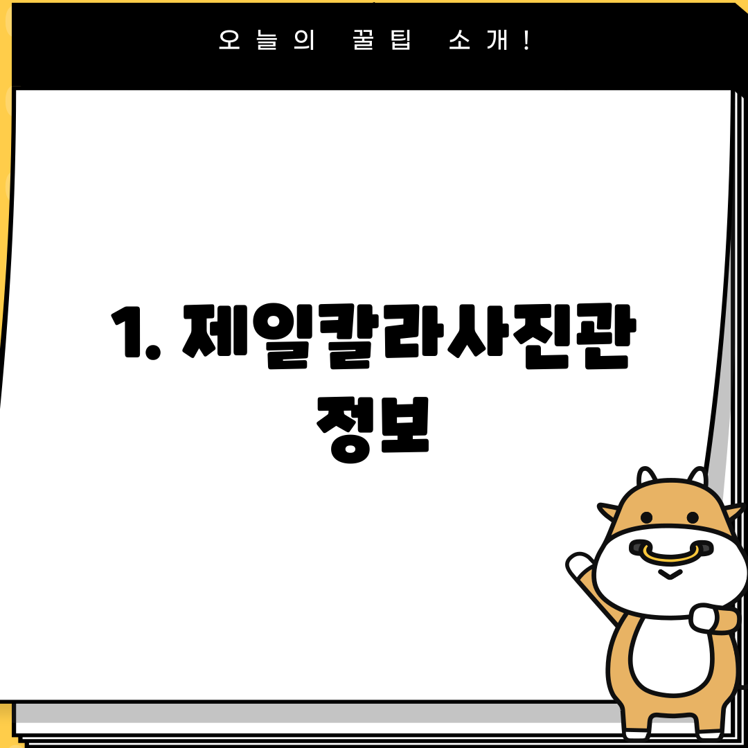 1. 제일칼라사진관 정보