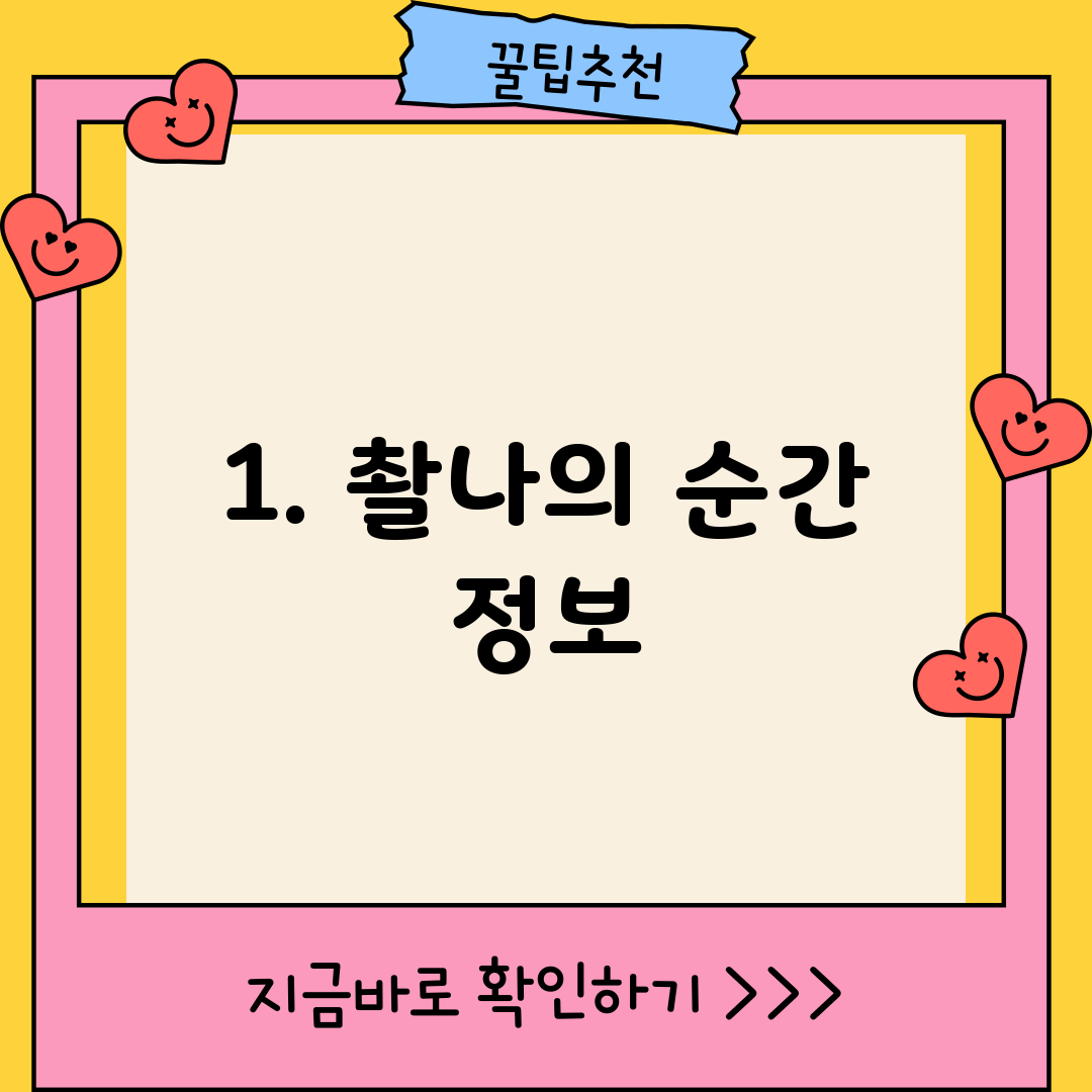 1. 촬나의 순간 정보