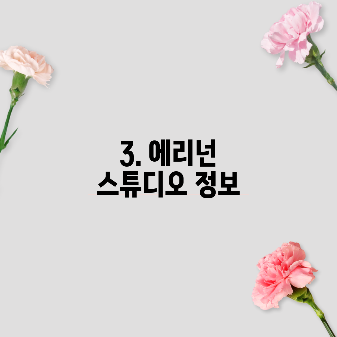 3. 에리넌 스튜디오 정보