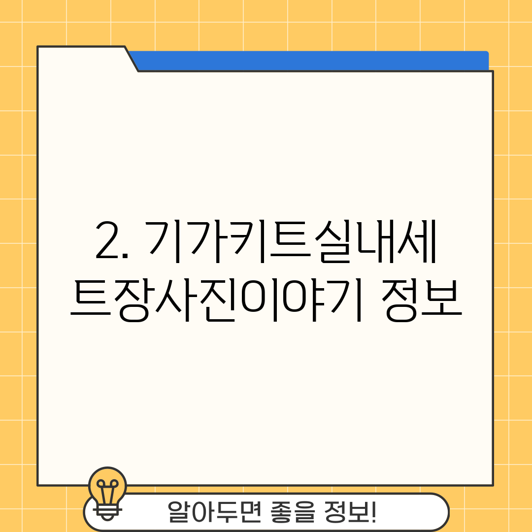 2. 기가키트실내세트장사진이야기 정보