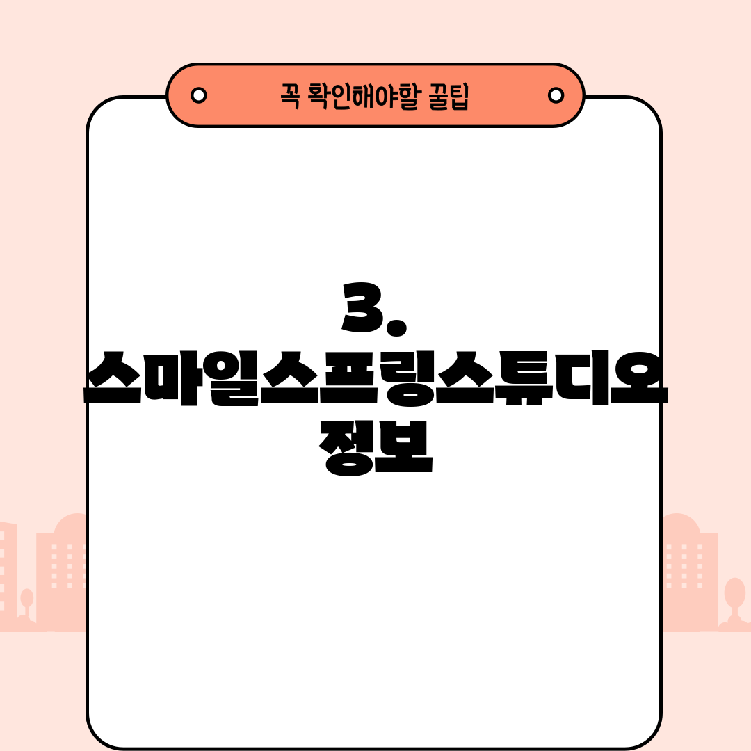 3. 스마일스프링스튜디오 정보