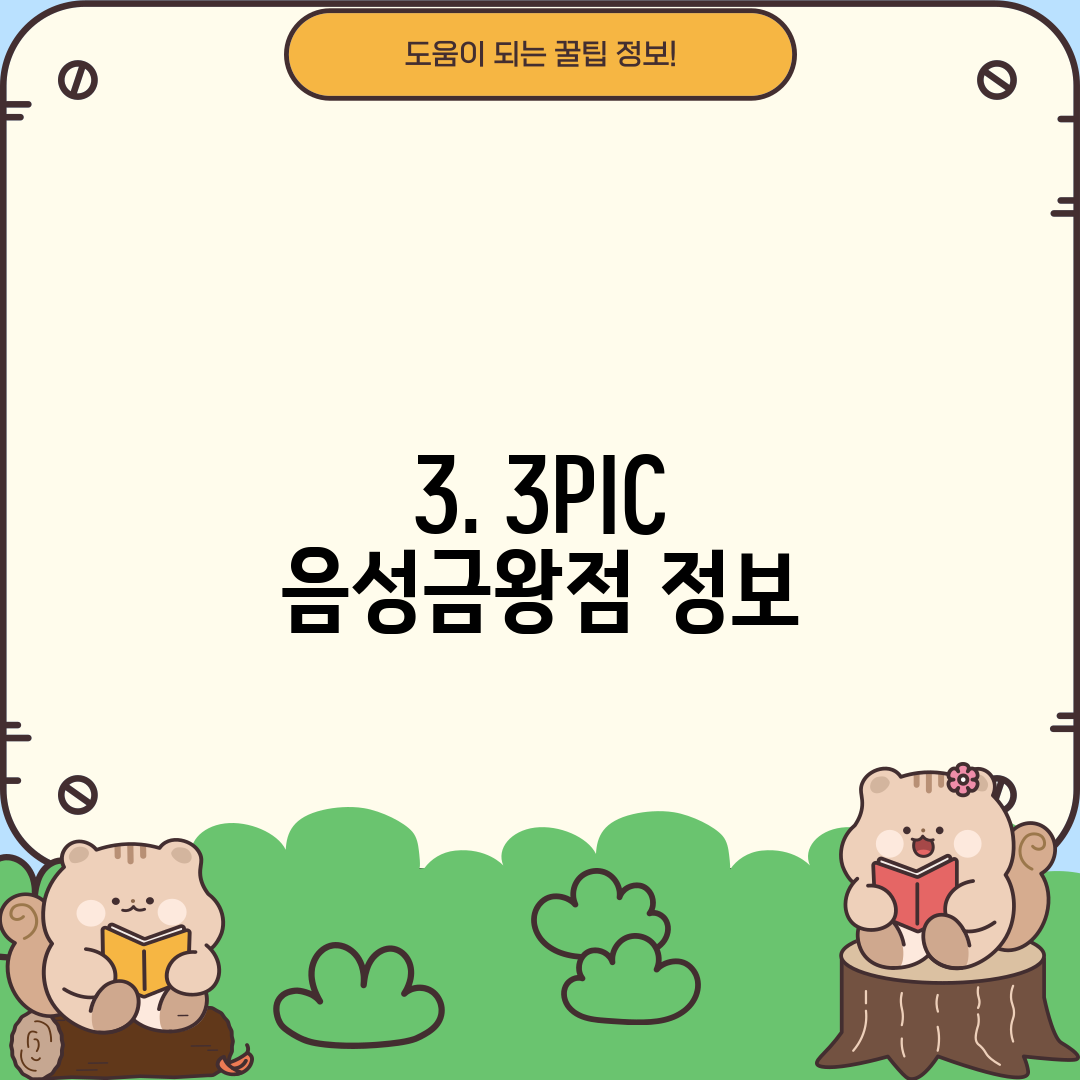 3. 3PIC 음성금왕점 정보