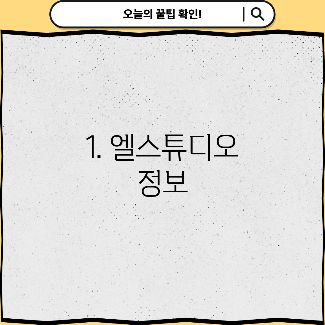 1. 엘스튜디오 정보