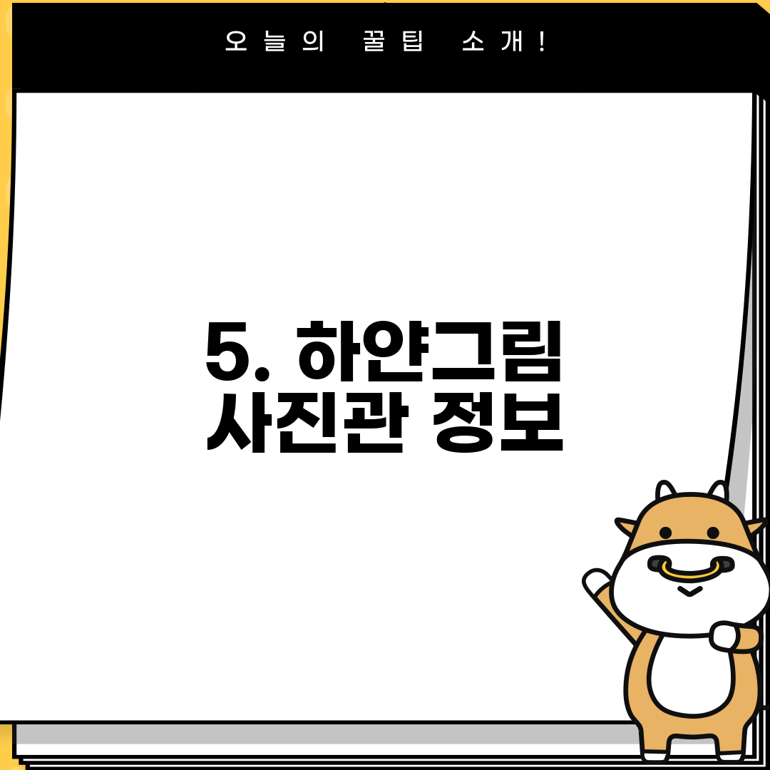 5. 하얀그림 사진관 정보