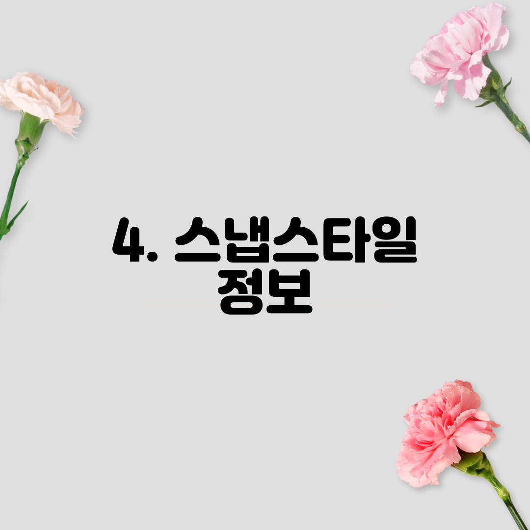 4. 스냅스타일 정보