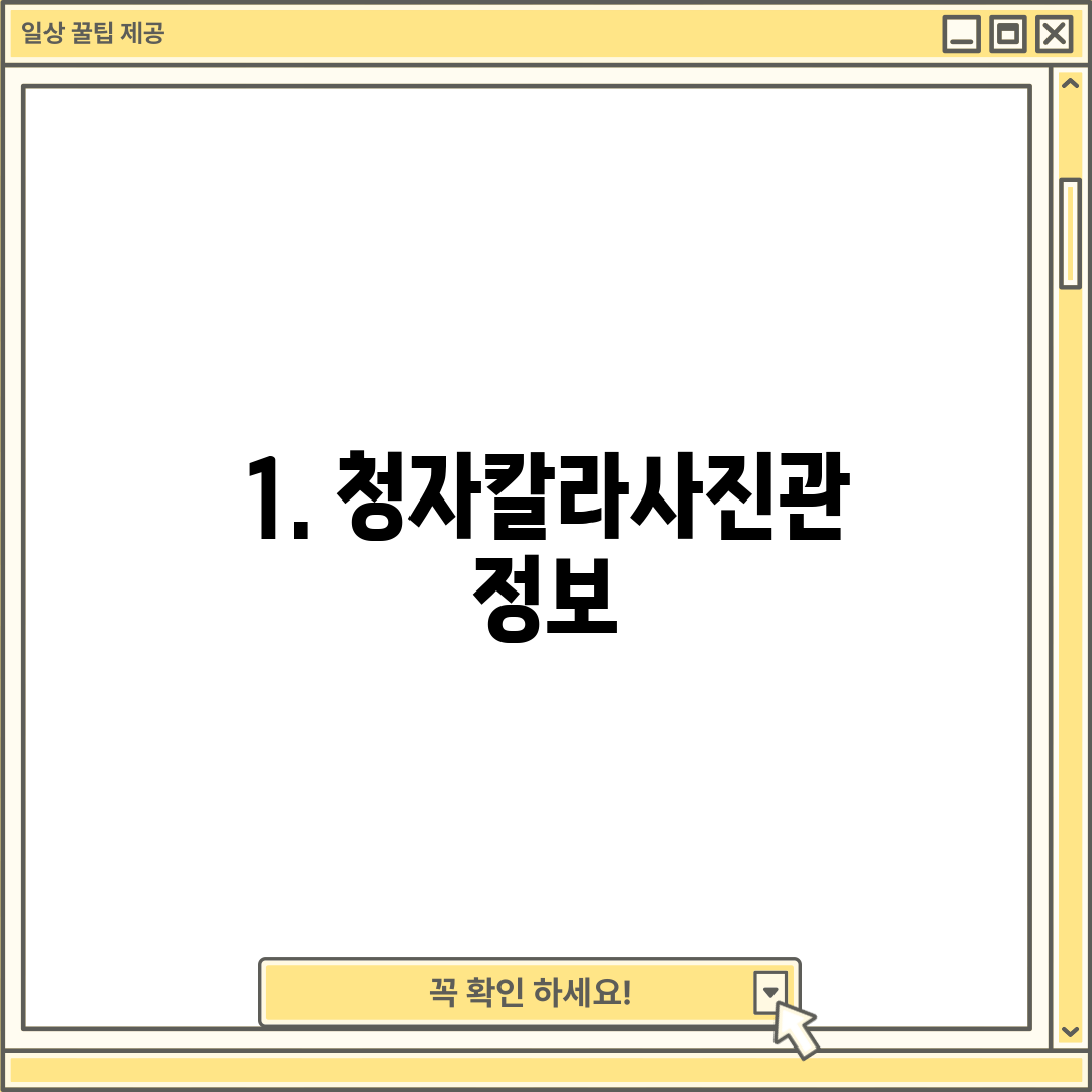 1. 청자칼라사진관 정보