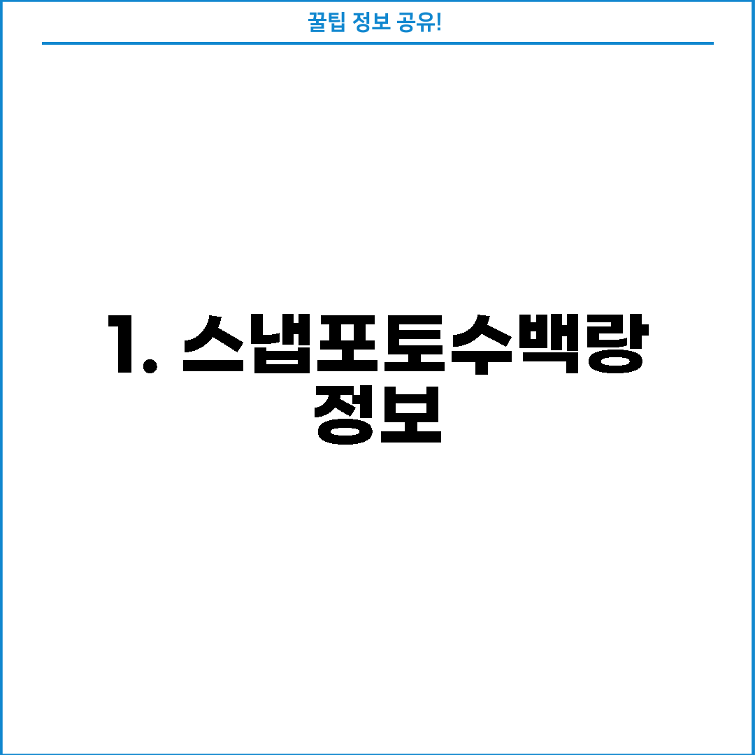 1. 스냅포토수백랑 정보