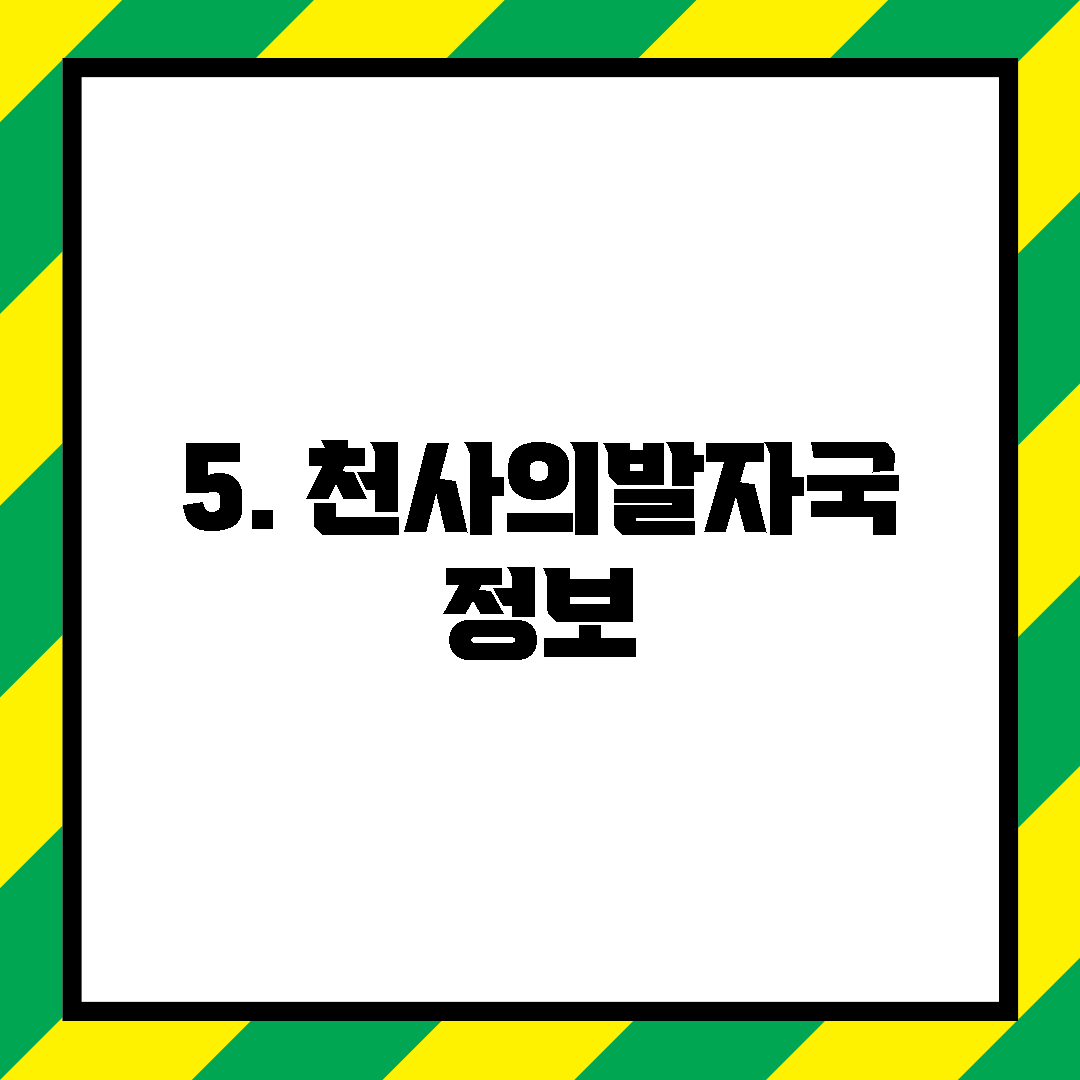 5. 천사의발자국 정보