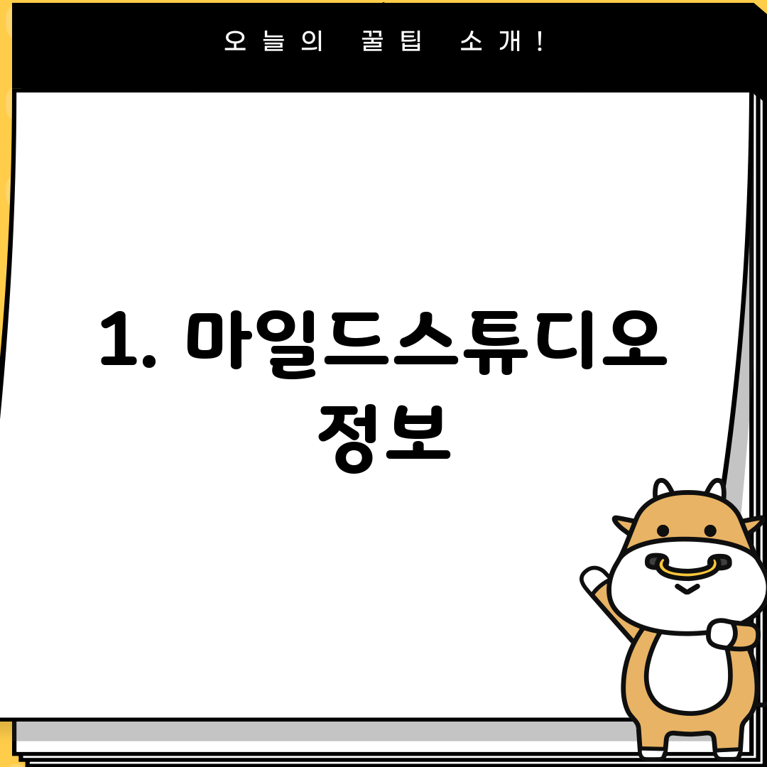 1. 마일드스튜디오 정보