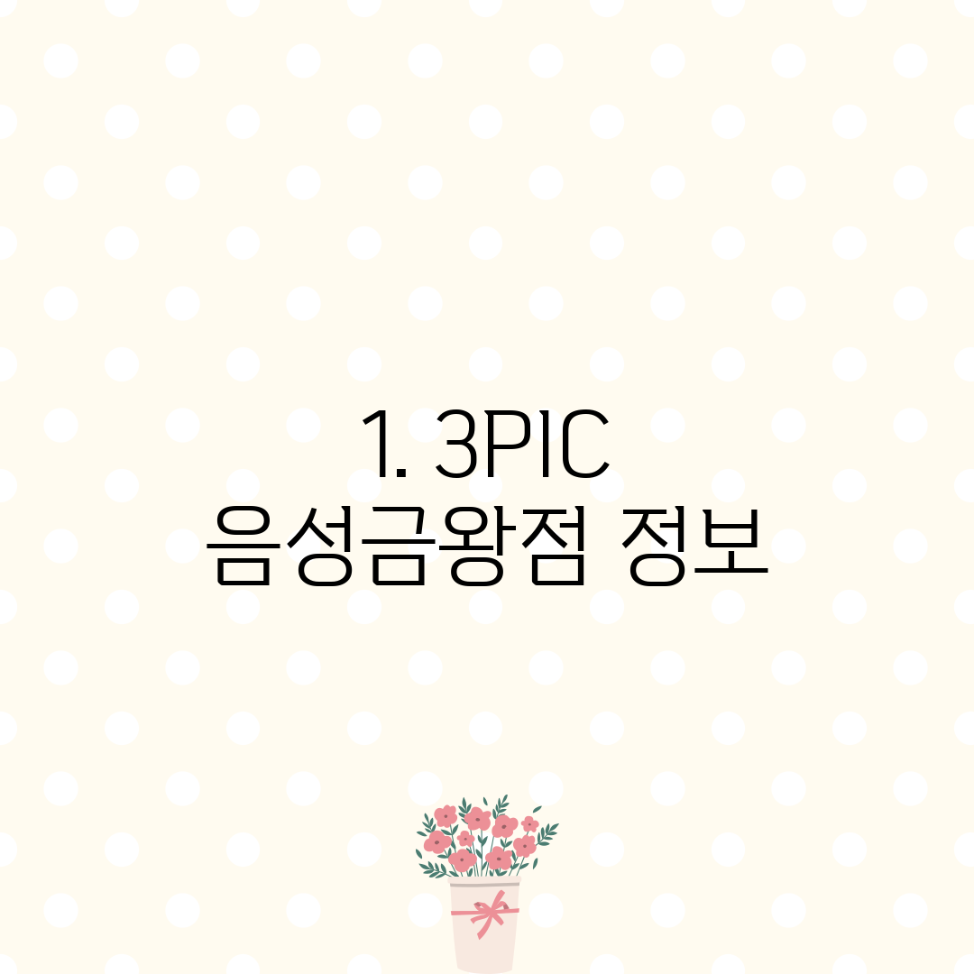 1. 3PIC 음성금왕점 정보