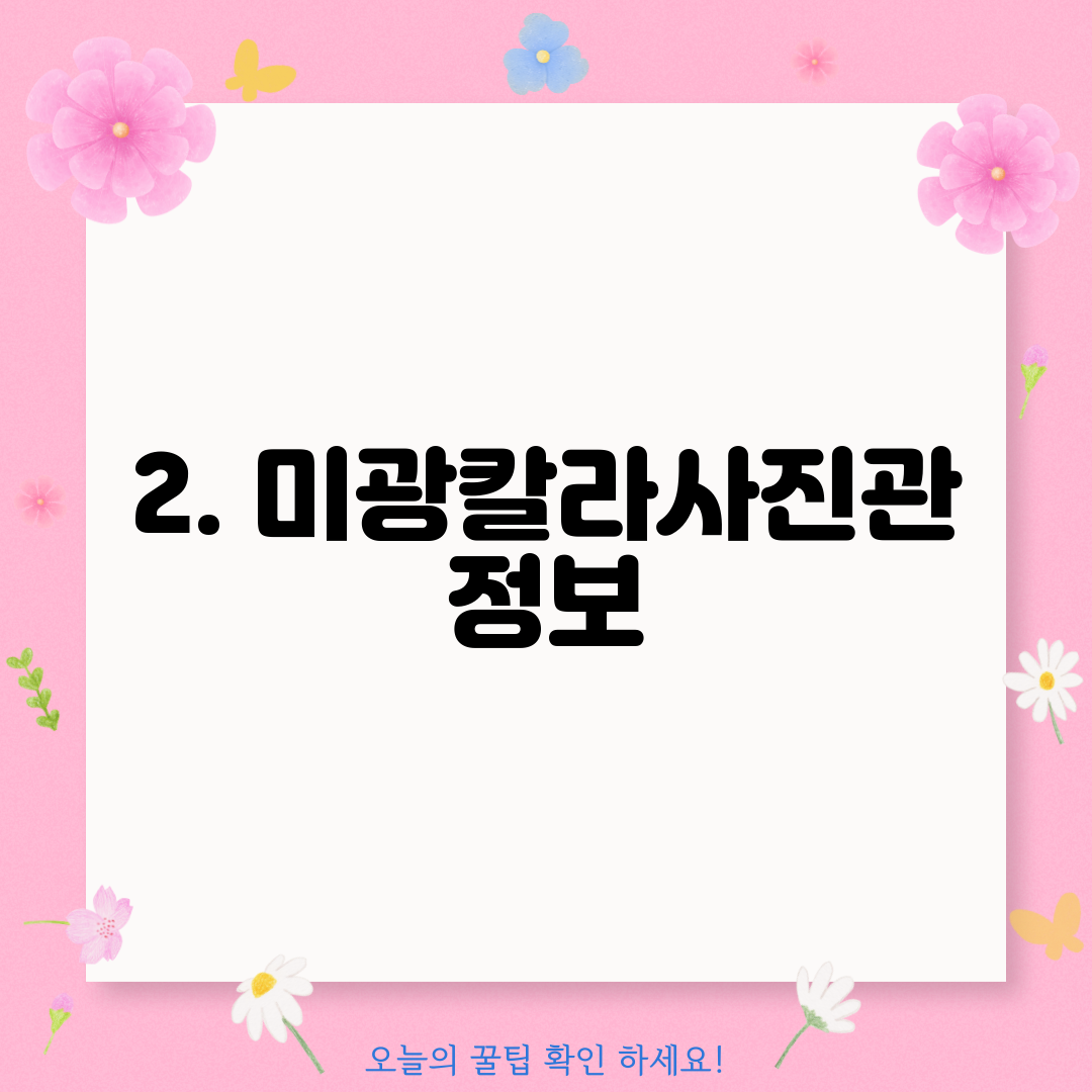 2. 미광칼라사진관 정보